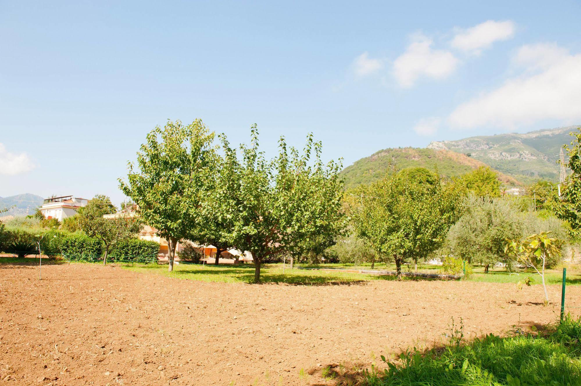 Hotel Luca 3*
